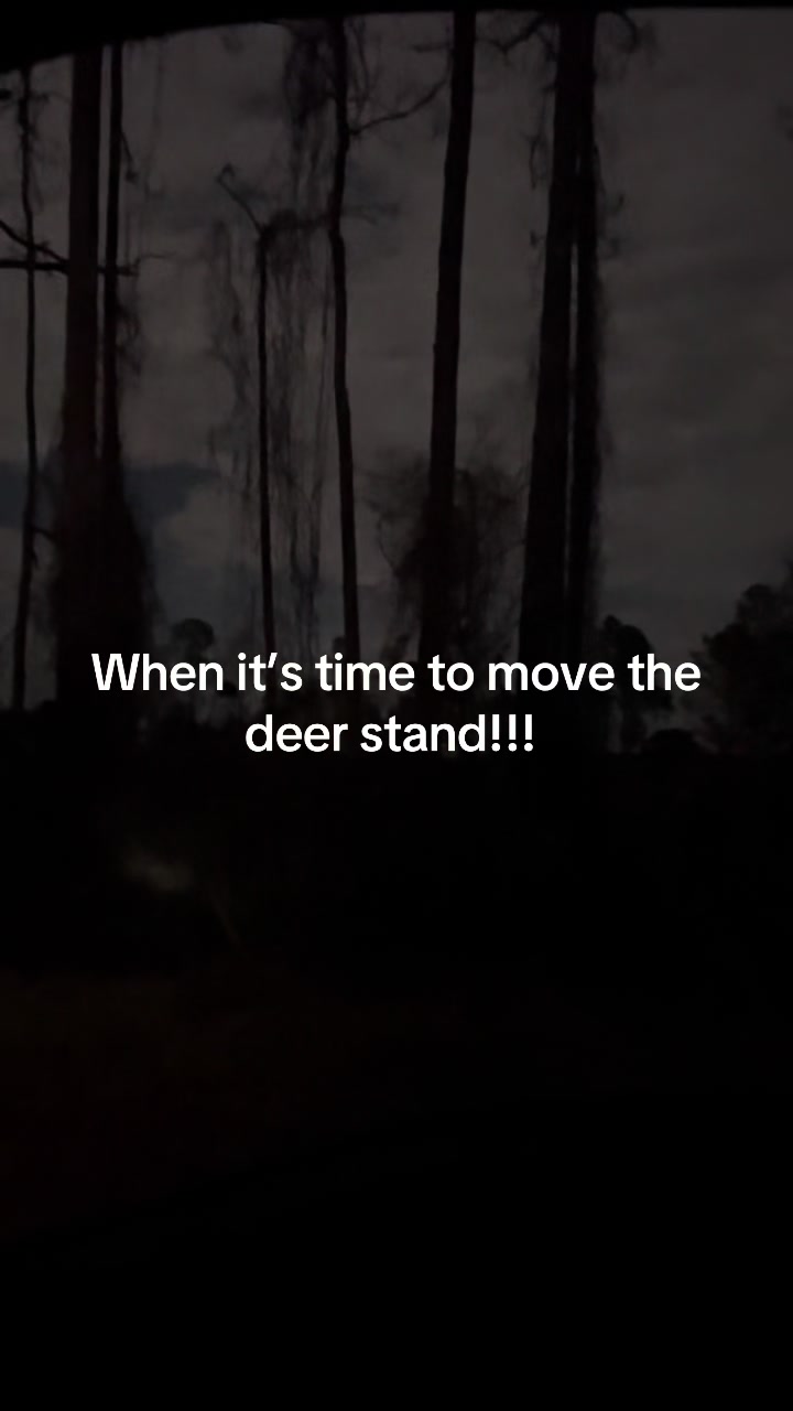 @Kyle