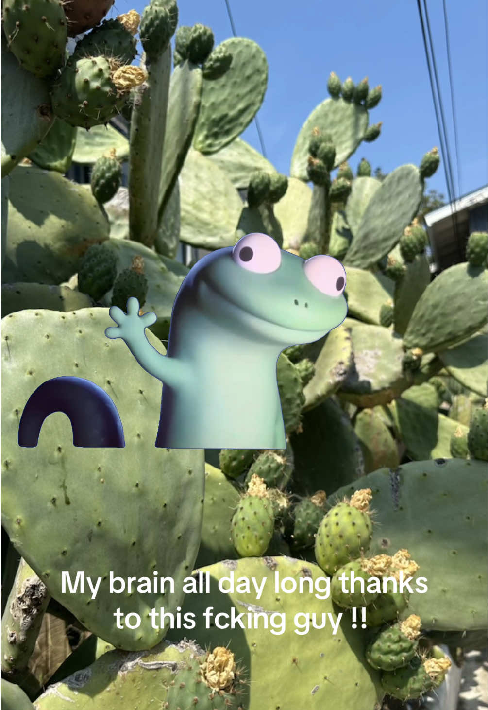 @Ashley Carlson