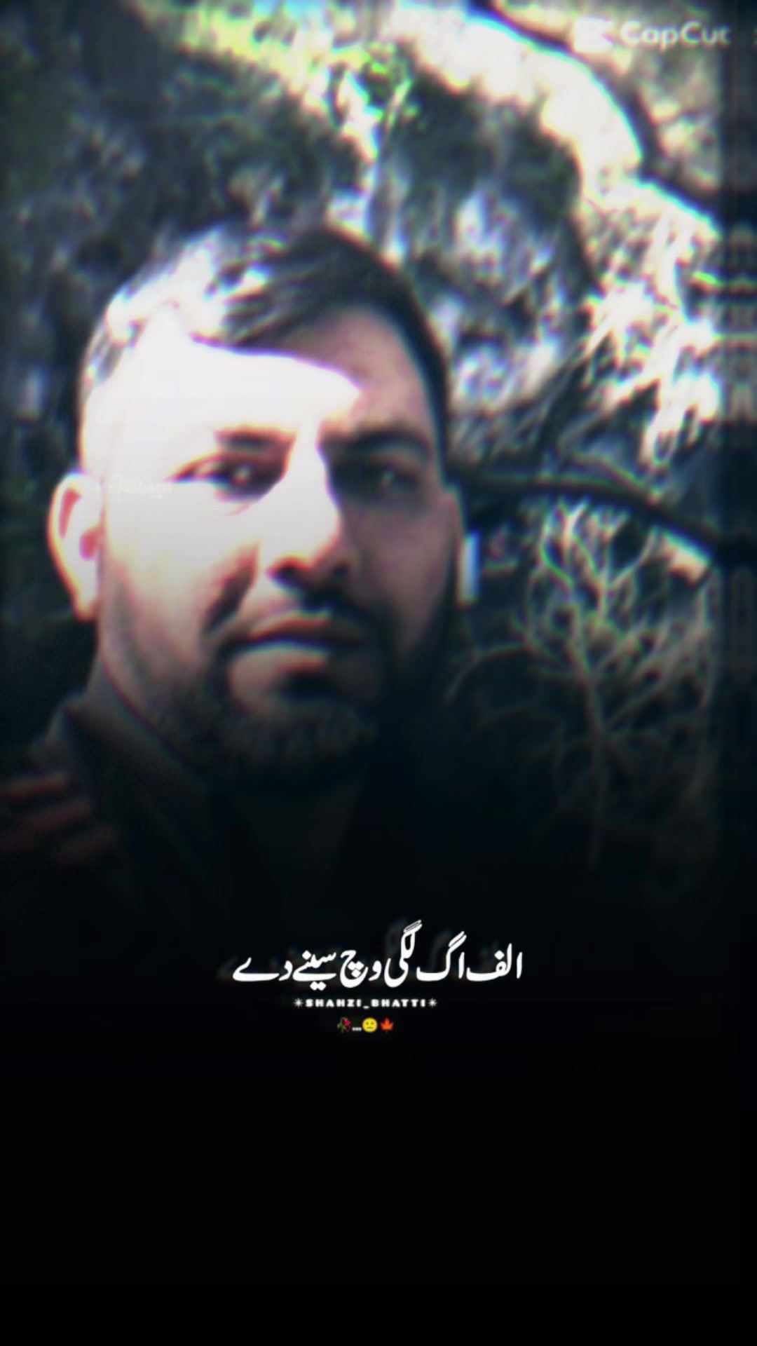 @Amirsblinds