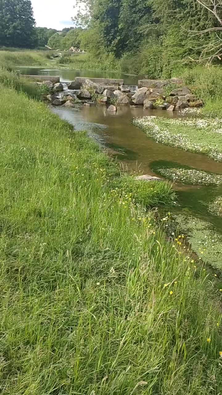 @يوسف الرفاعي
