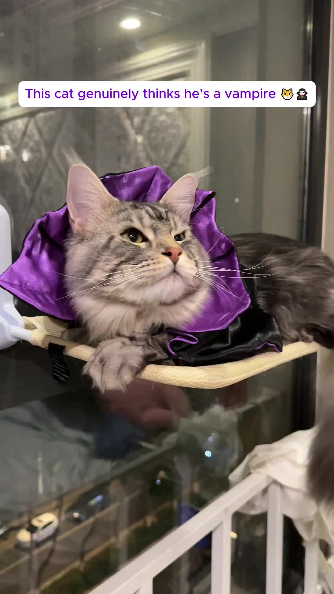 @SpookyBox