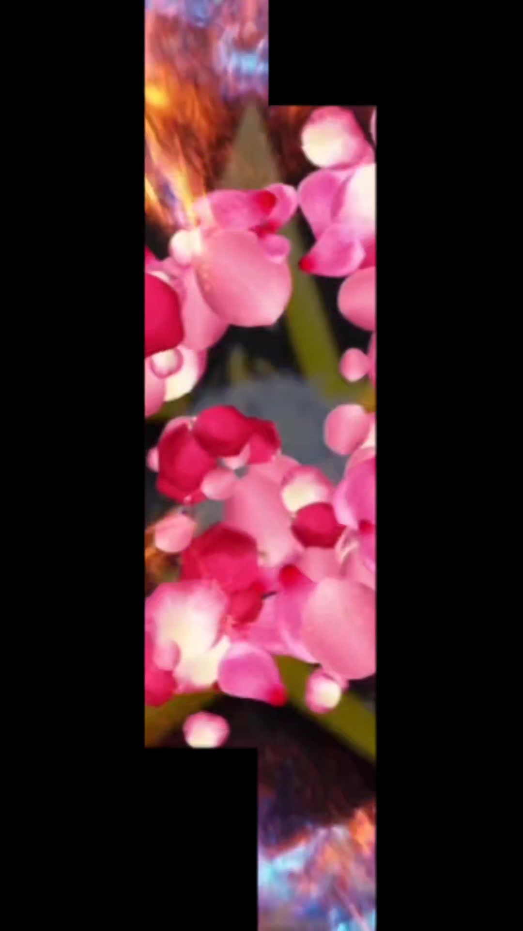 @amaan1949