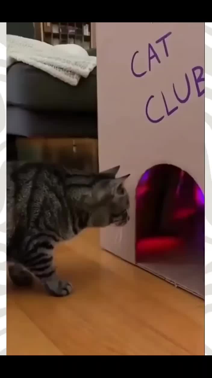 @Łŏpɛž "✝️🛐" vïďîos