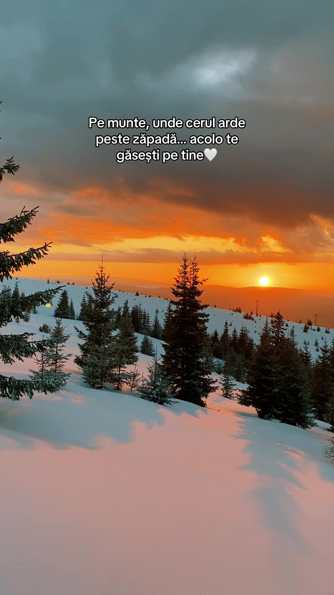 @acasalamuntelemic