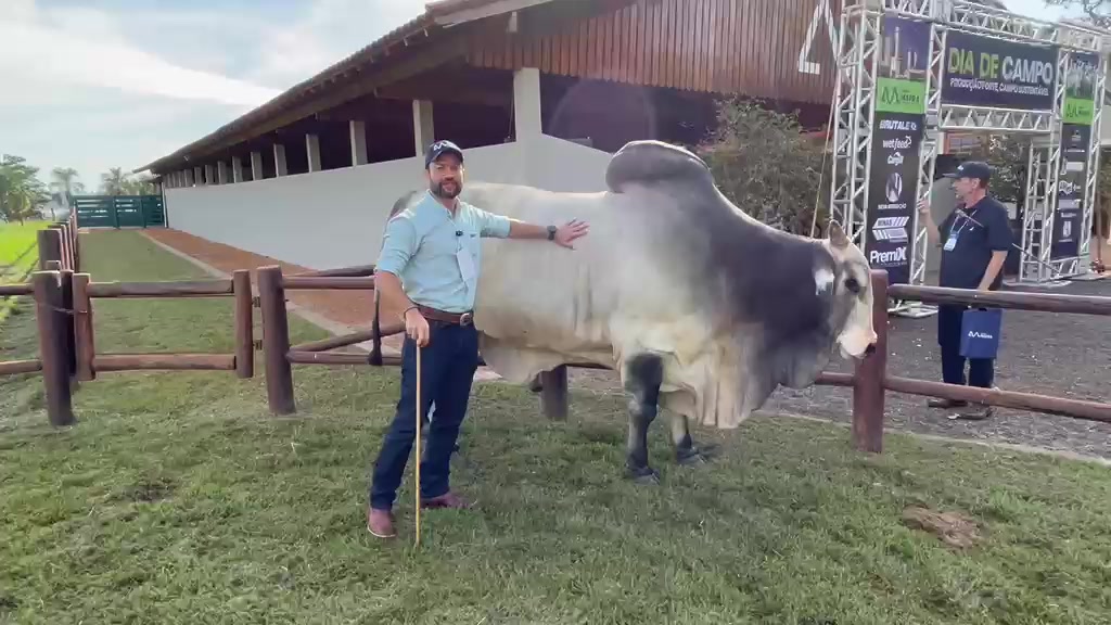 @jorgevianajr