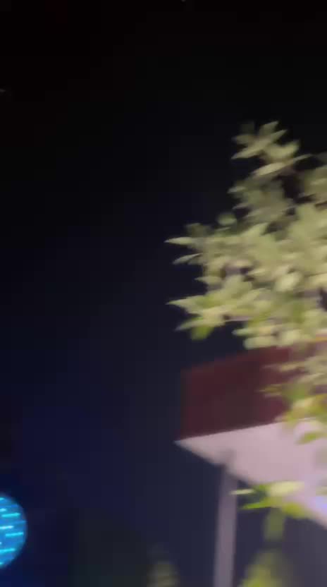 @🦚🤍JOEJO 🤍🦚