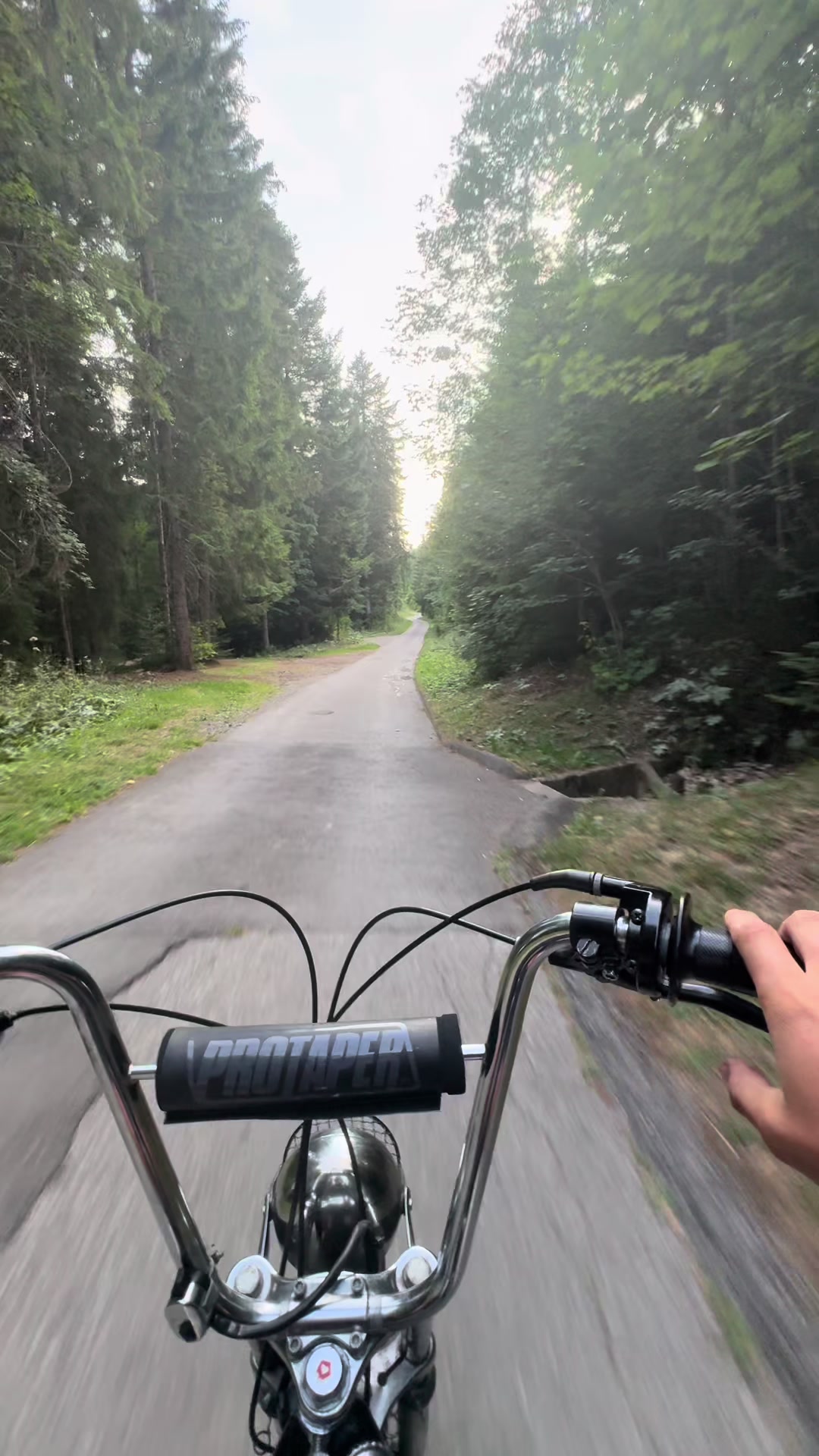 @Black_Puch_swiss