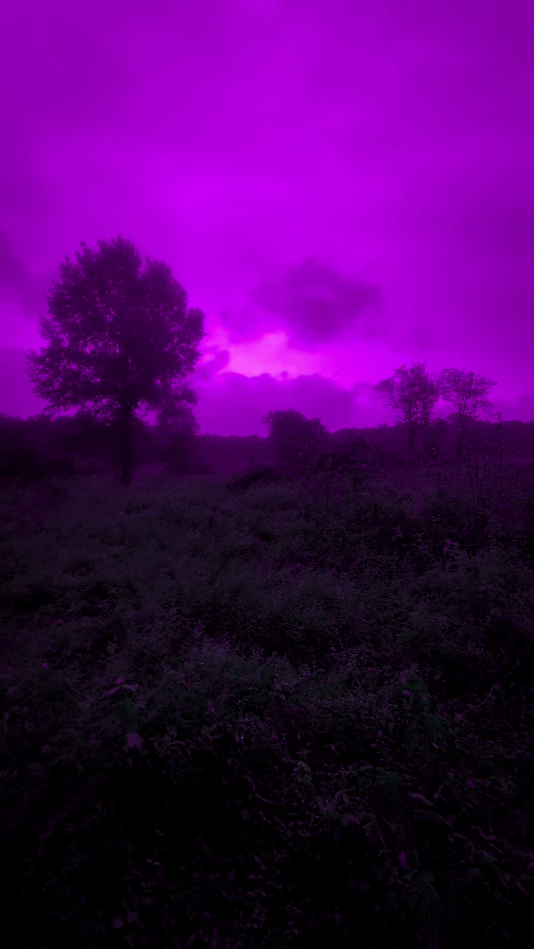 @DarkSpaces