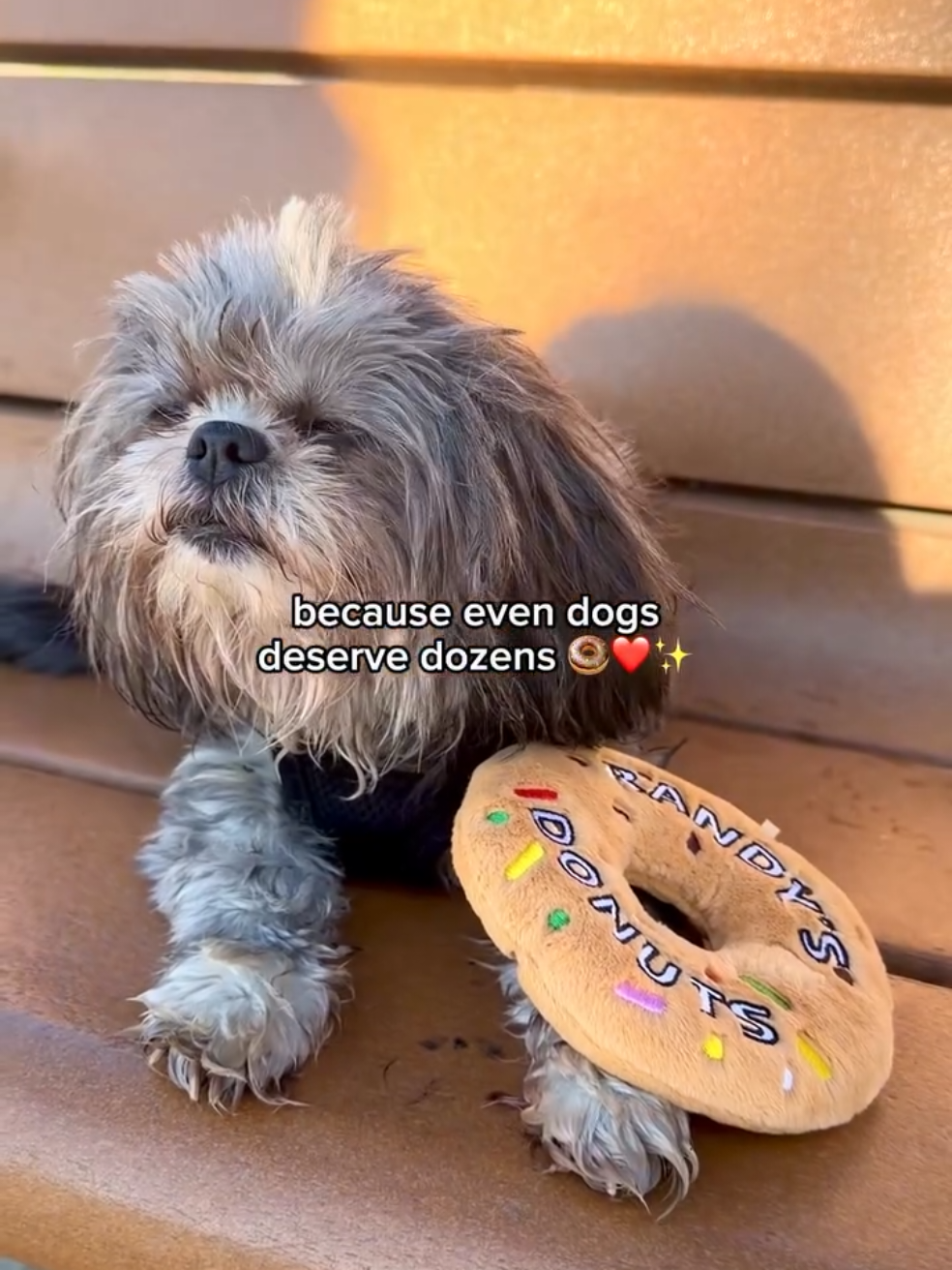 @Donuts Explorers