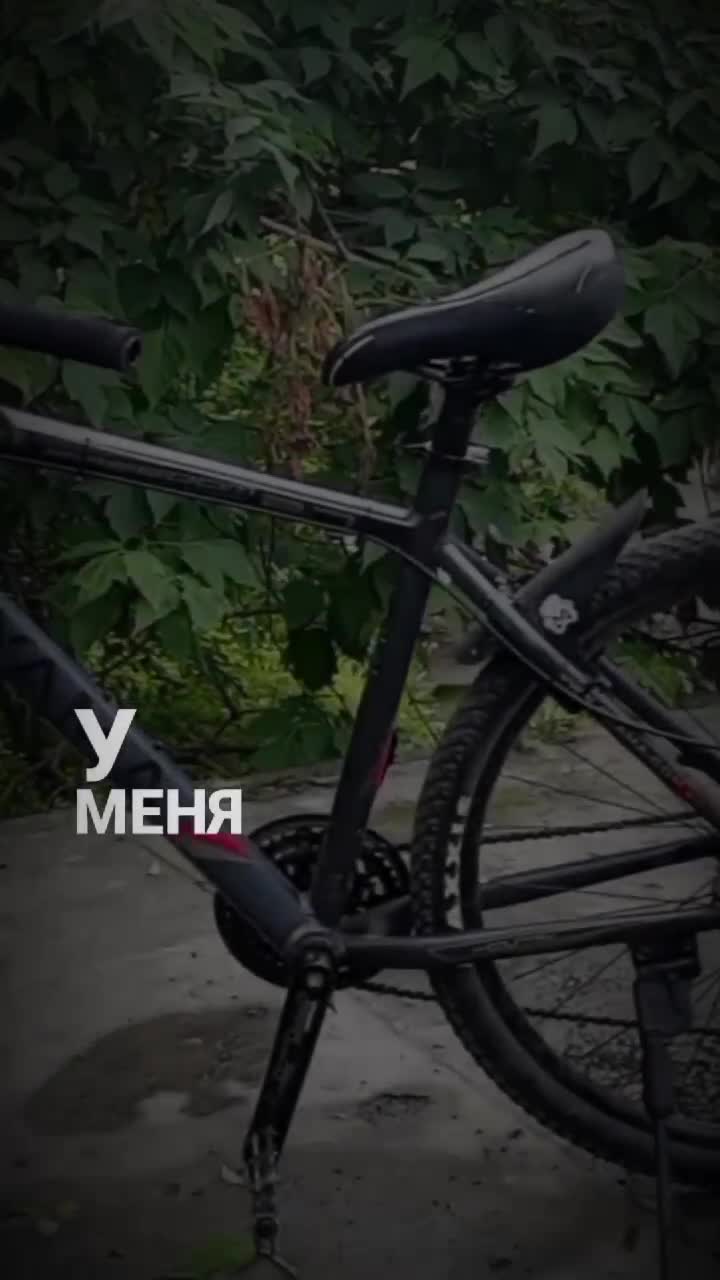 @StUnT-FrIrAyD_VDK