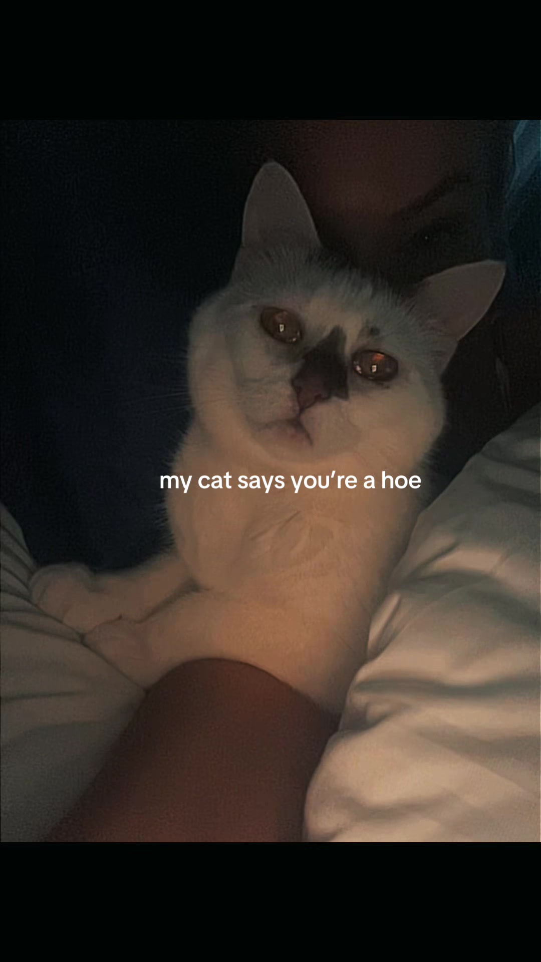 @QueenEastcoast