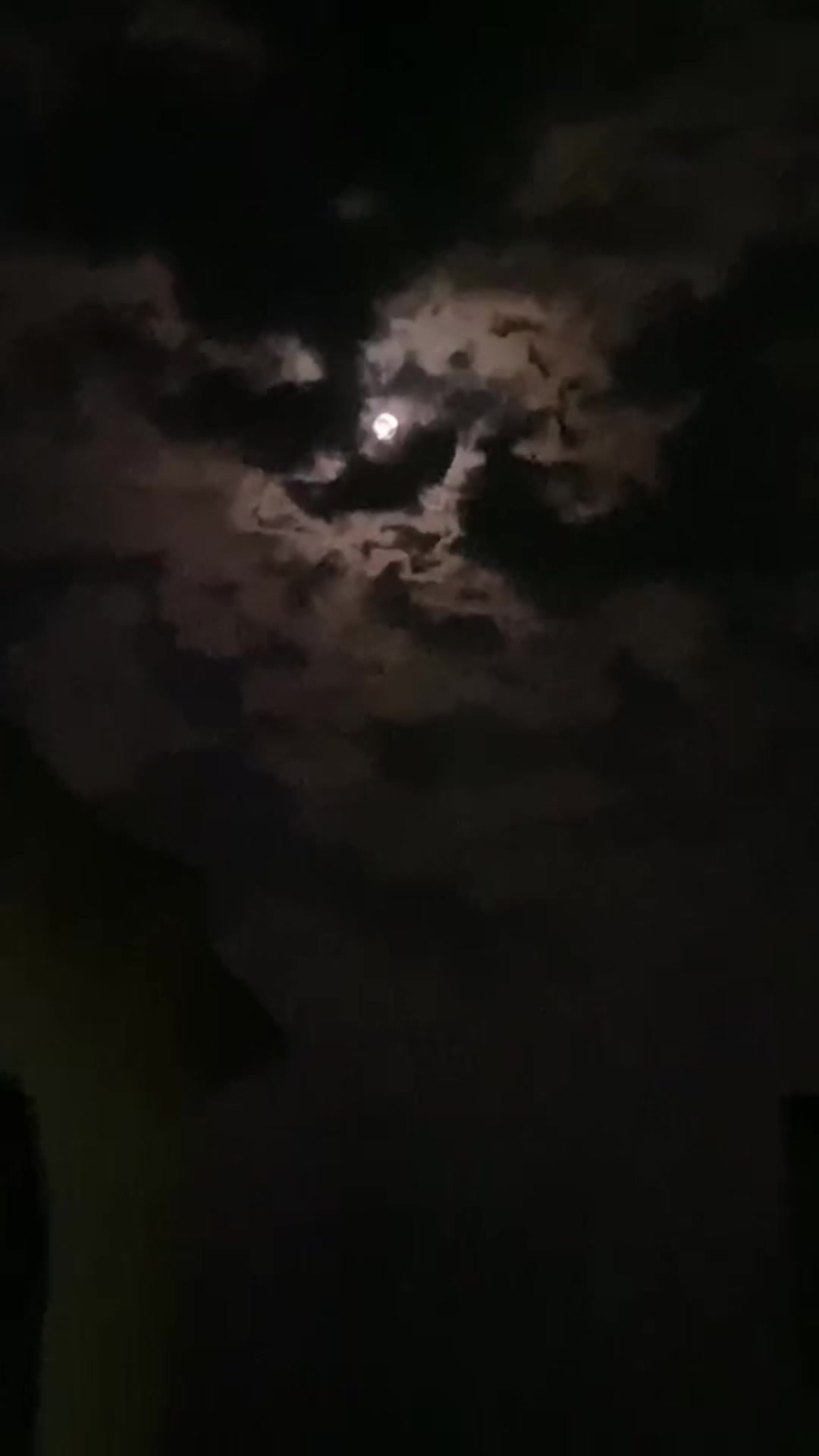 @SARDAR AHMAD 🦇