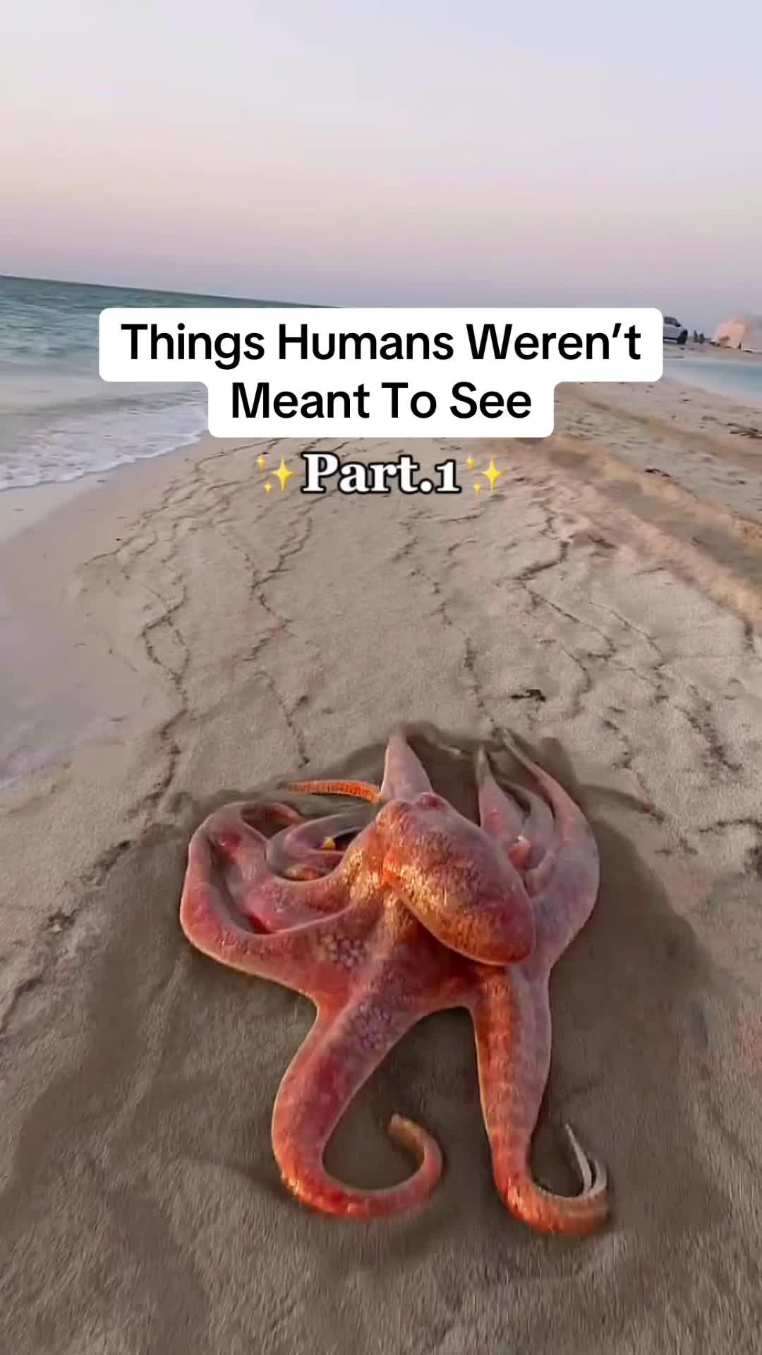 @Our Planet