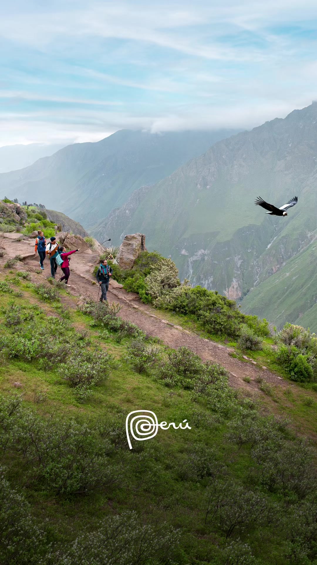 @Per&uacute;