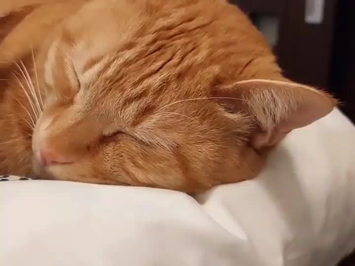 @Minamoto.26_kappa