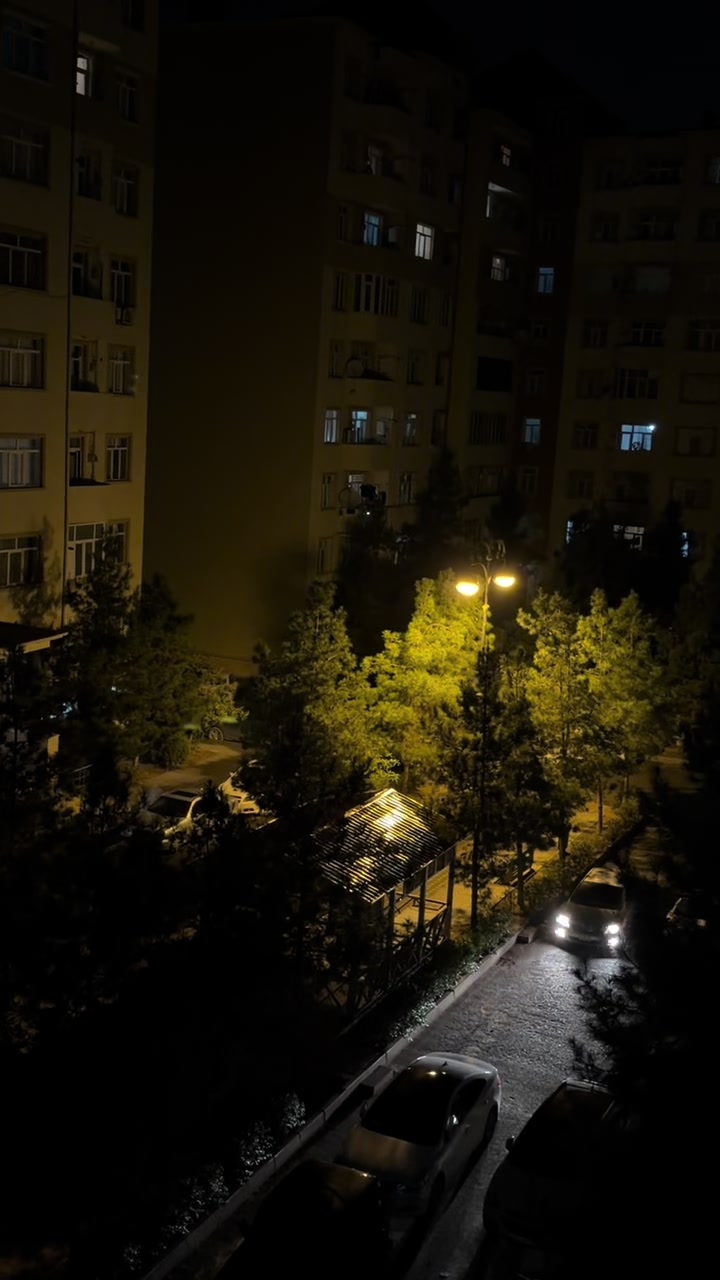 @_abbasova_f