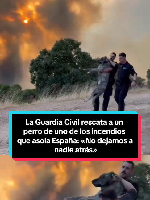 @El Debate