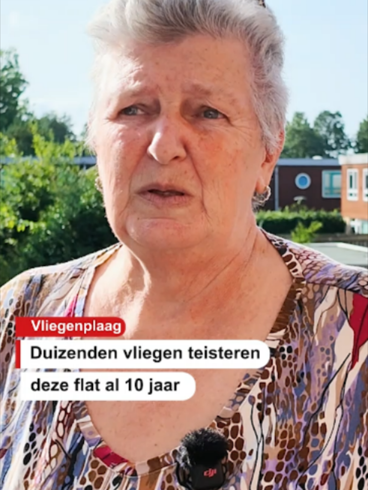 @De Stentor