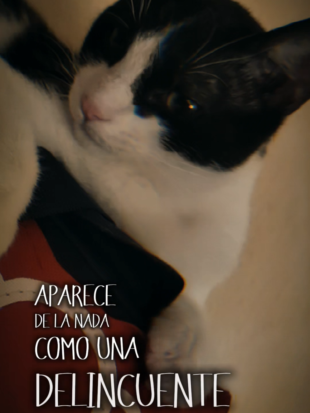 @marianita emprendedora