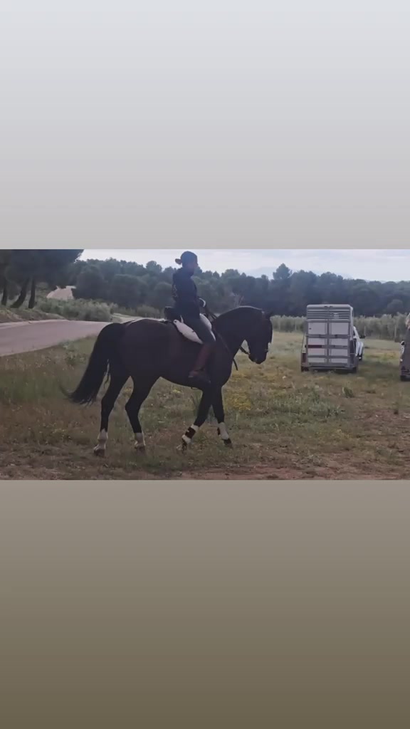 @Sandra Molina🐎🇪🇸