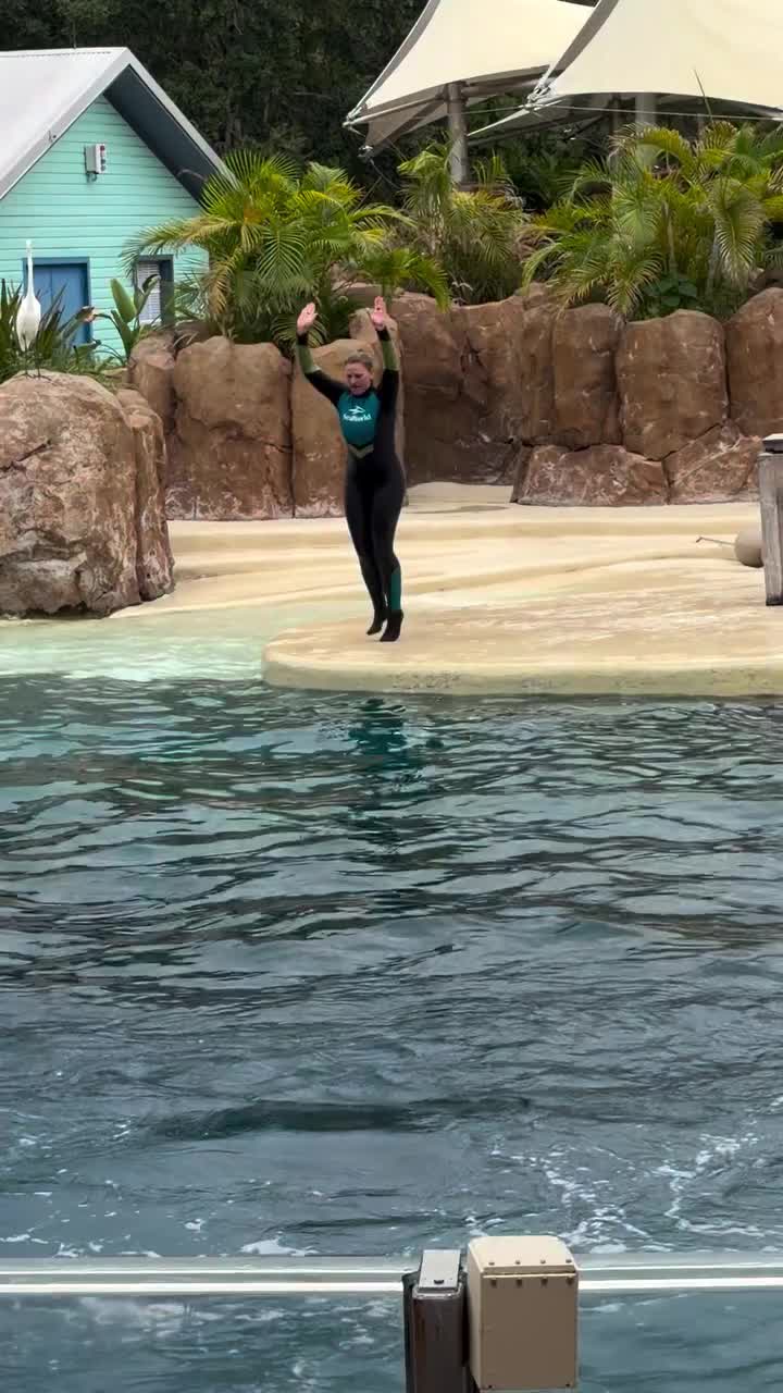 @Dolphin 🐬 World 🌎