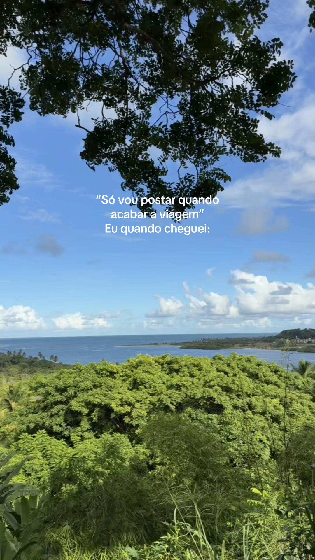 @Carol Coelho