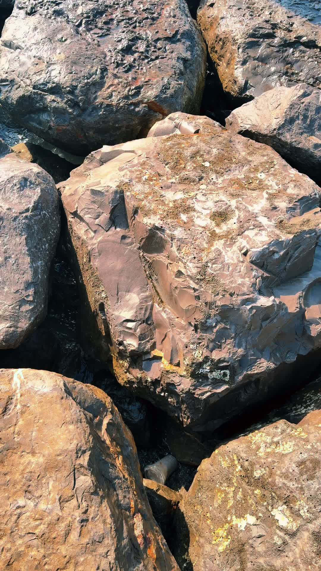 @Hi.Siri👋
