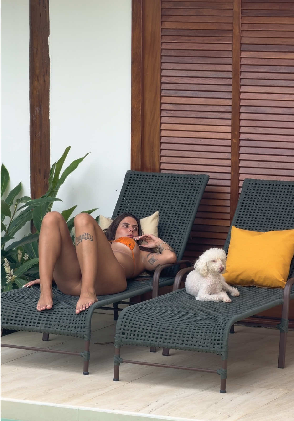 @Cinthia Farias
