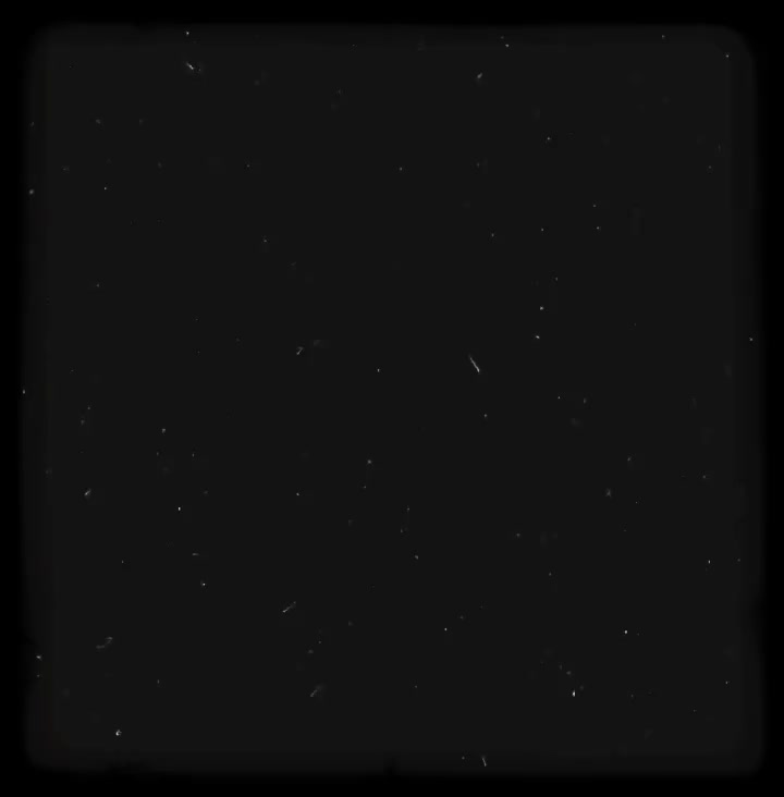 @𝐓𝐫𝐞𝐳𝐳𝐰𝐲𝐲