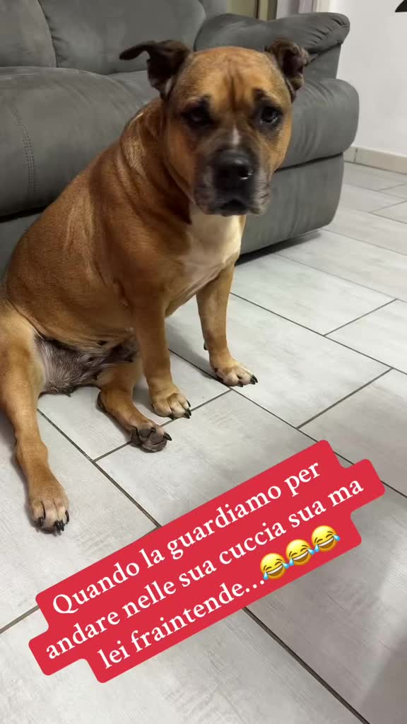 @💎Emanuela80🐾💎