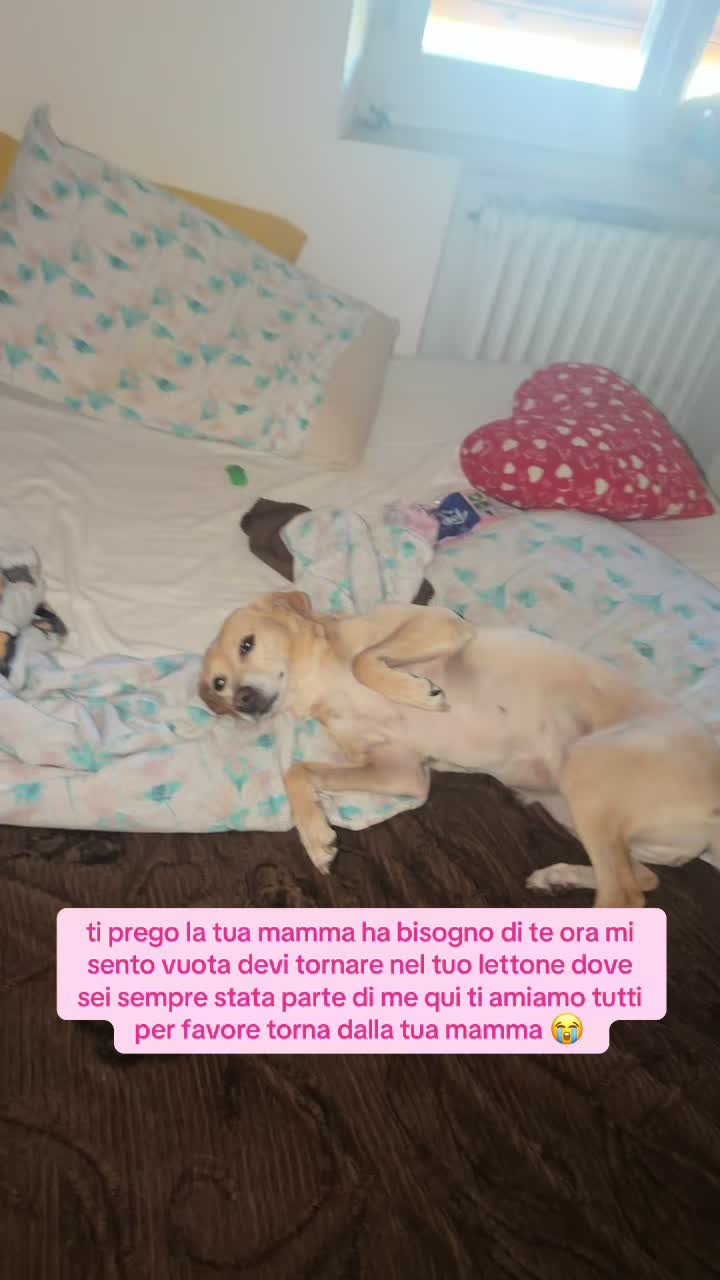 @valeen 🇦🇷 ☥