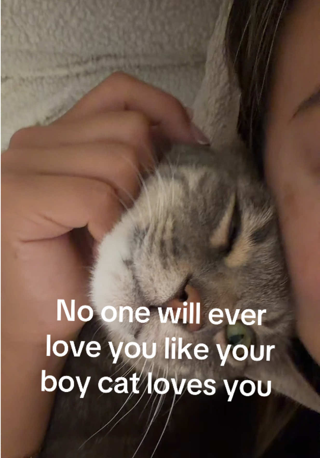 @Angel 🪽
