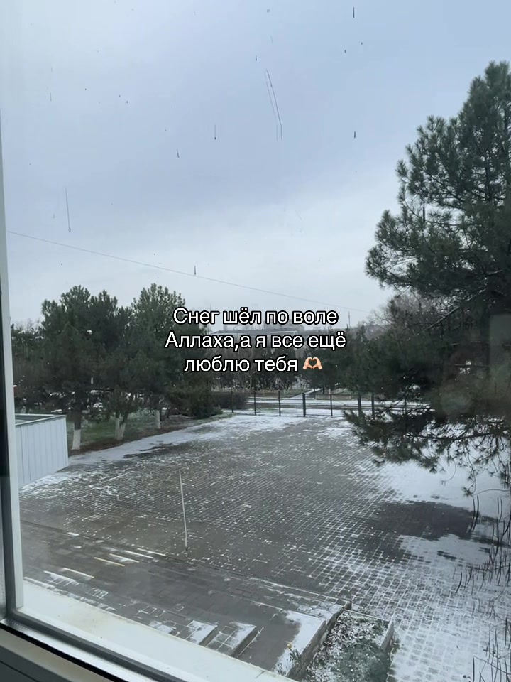 @A_V_A_R_K_A_05