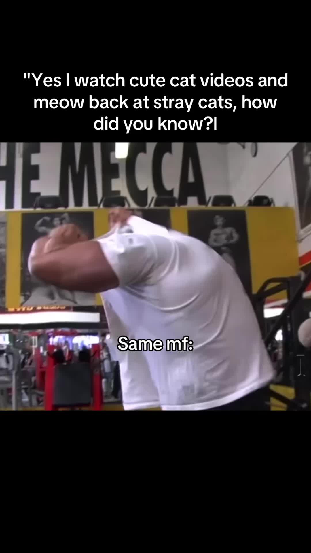 @Ben____tren