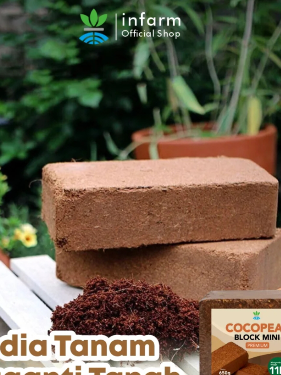 @Berkebun Berkah