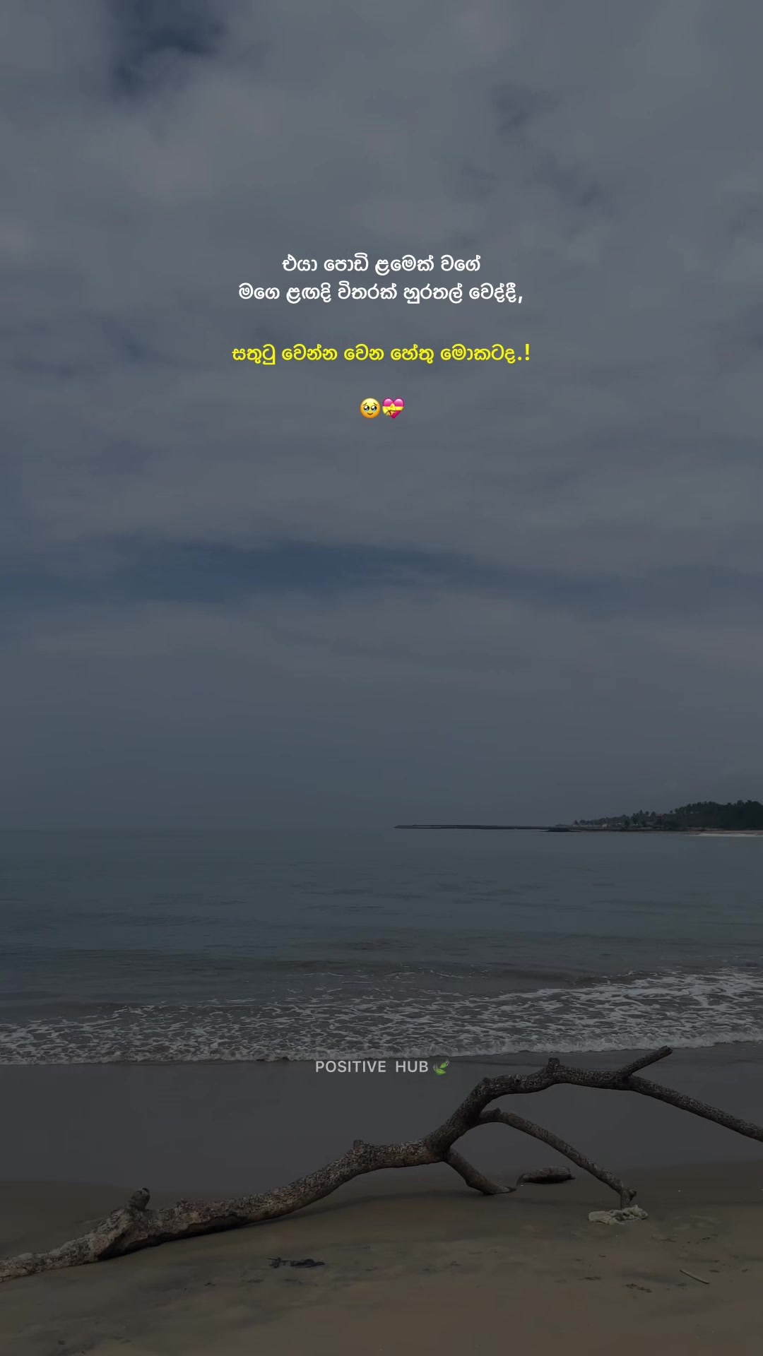 @POSITIVE_HUB 🍃