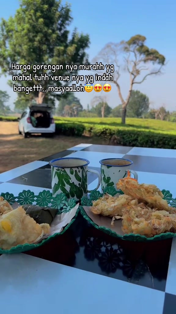 @yani mulyani