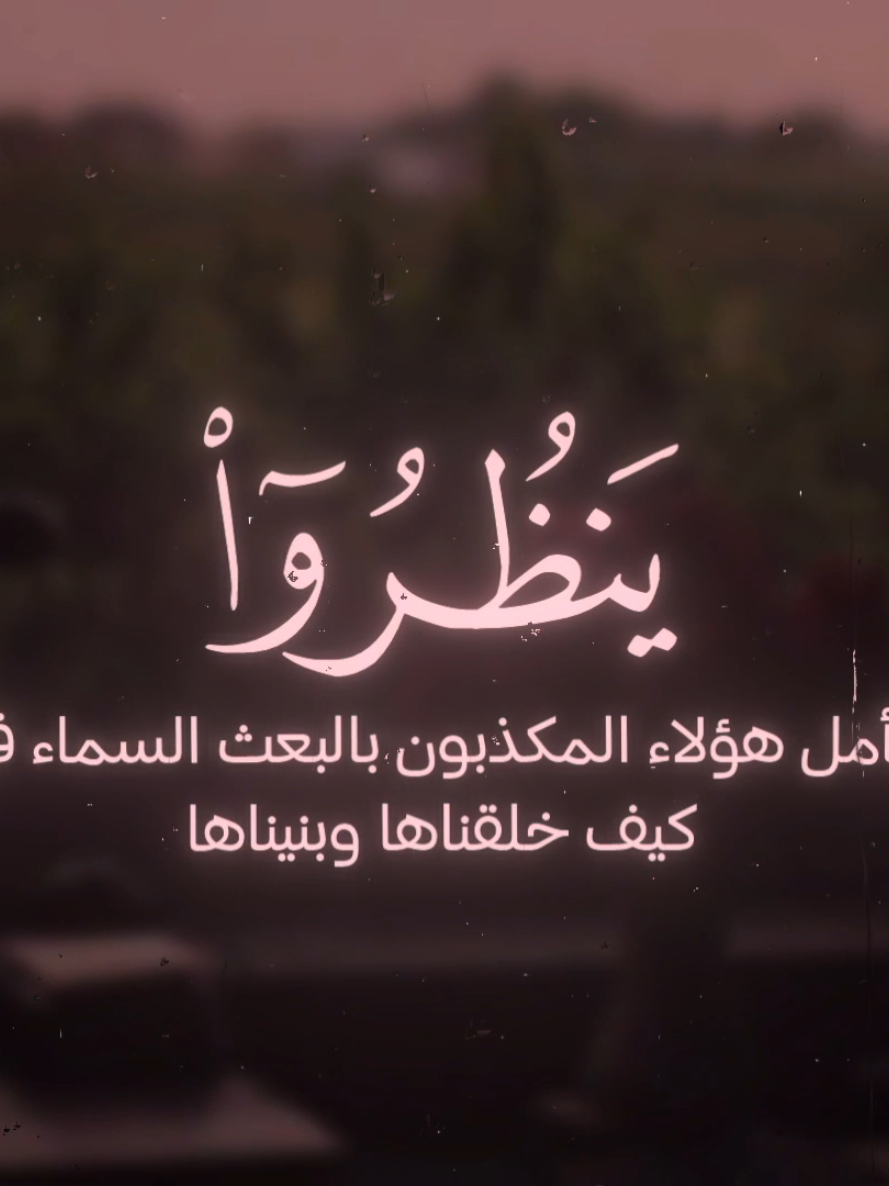 @quranrecitations_57𓂆🇵🇸