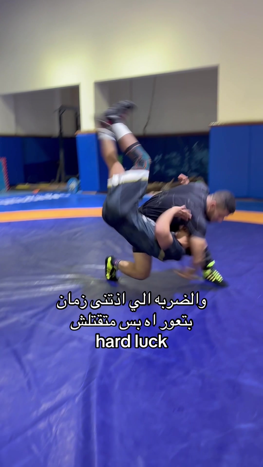 @zoghpe masr☝️🦍