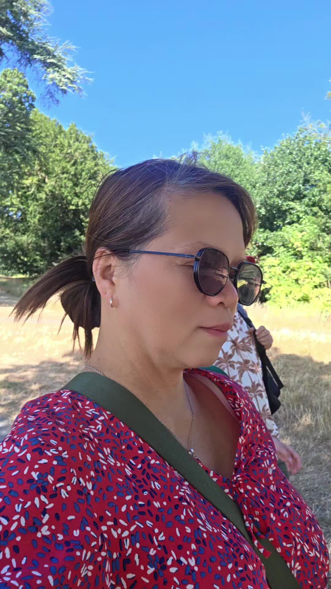 @antonet