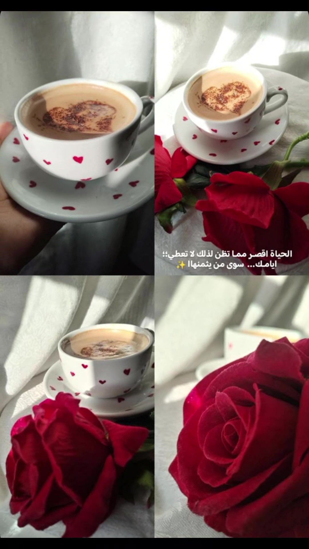 @رهام زينو
