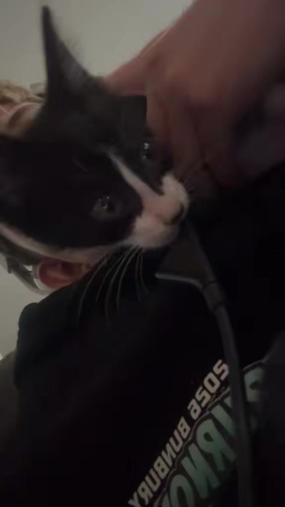 @Brodie331🫆