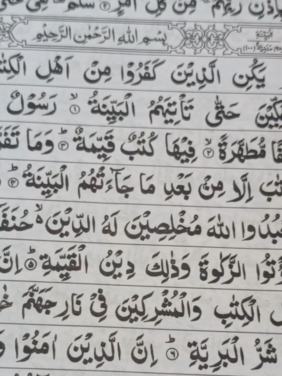 @alquran78668