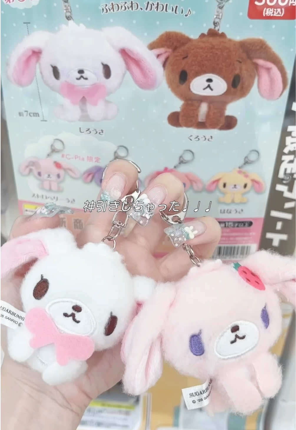 @포누 ぽぬ
