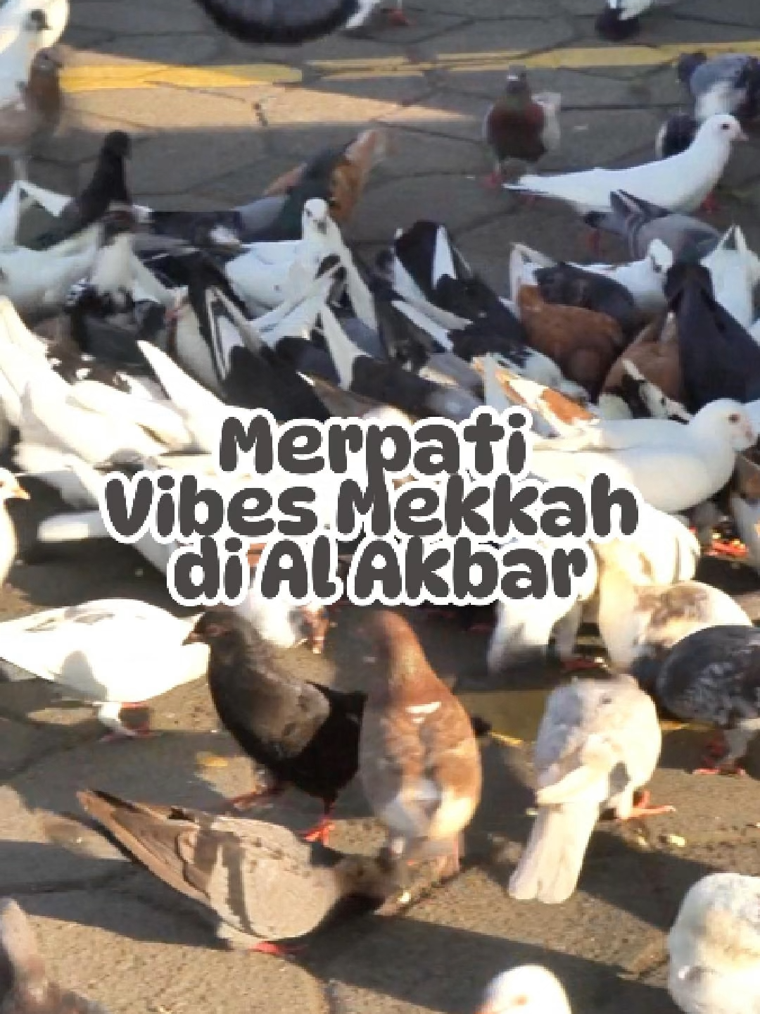 @Masjid Al Akbar Surabaya