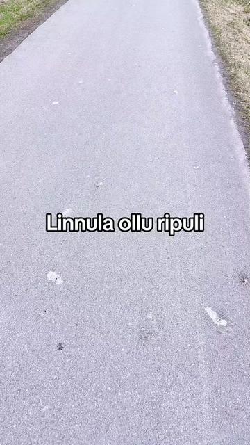 @finkarppa