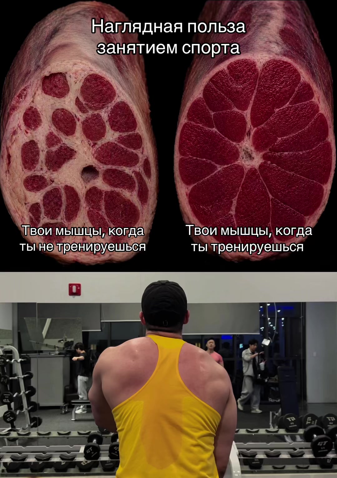@Wrestleroma