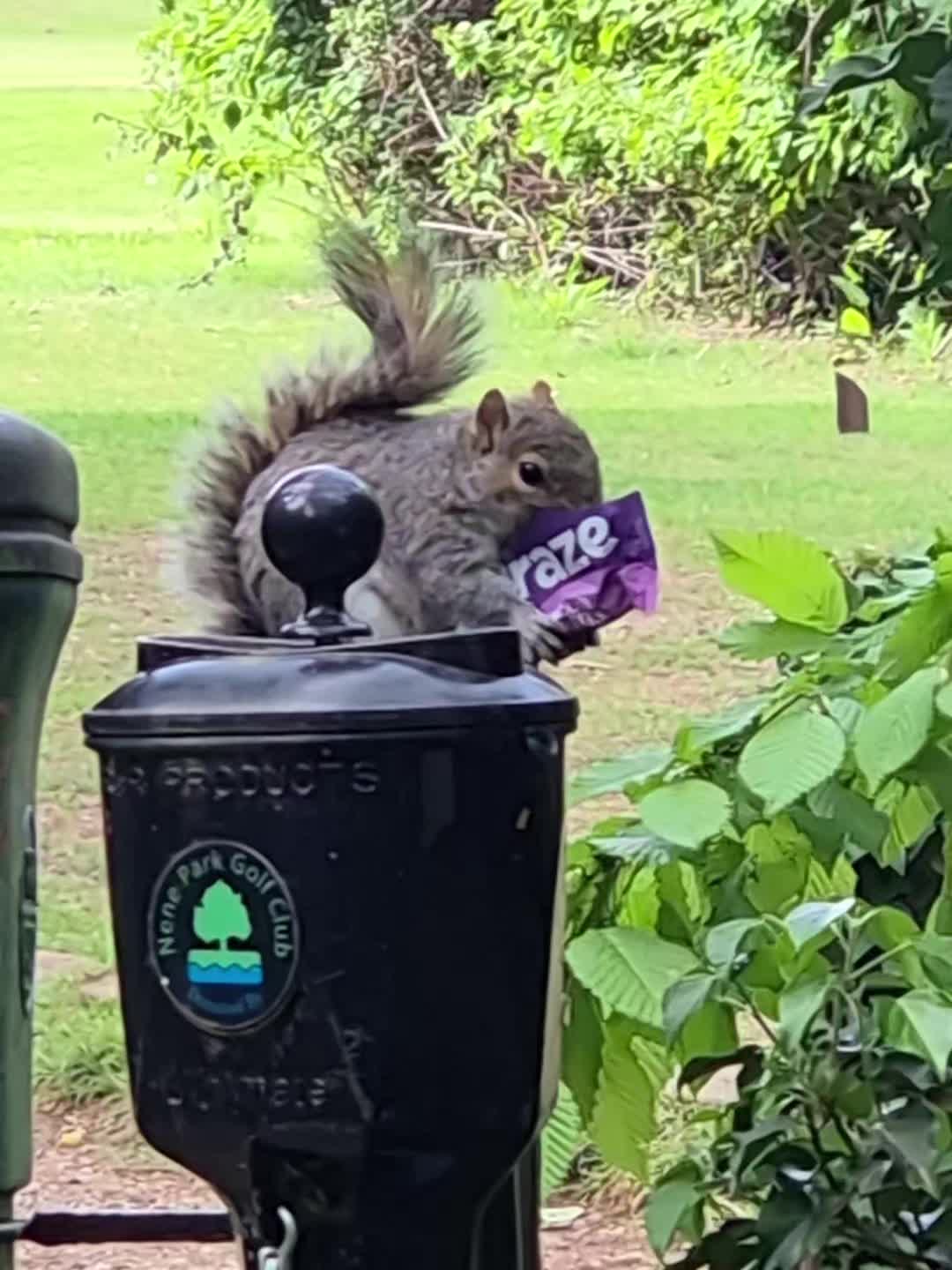 @flipertyflopfluffmeister
