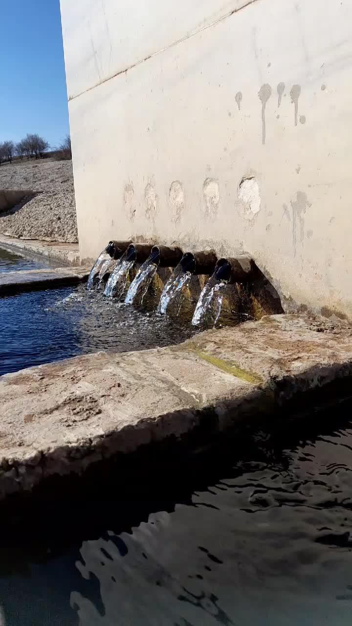 @kadişş