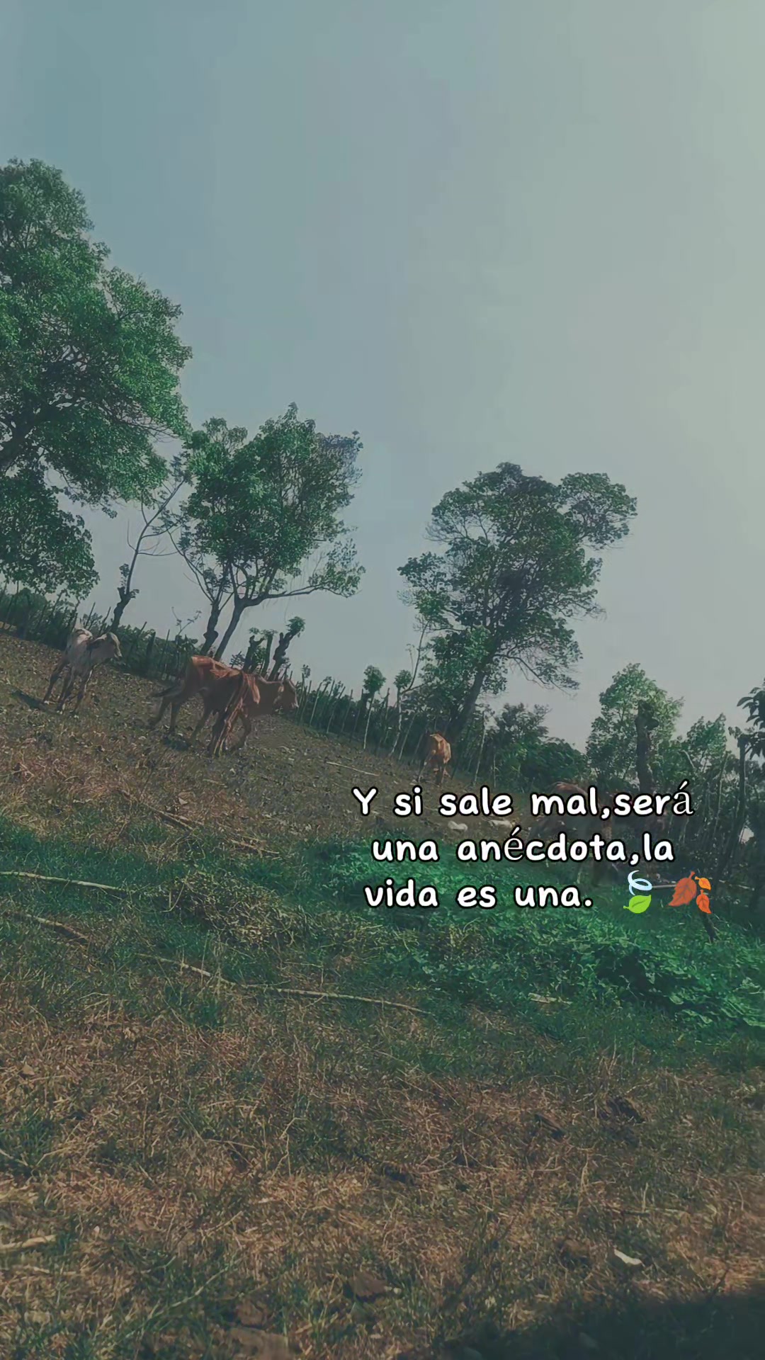 @Alexandra Monzon